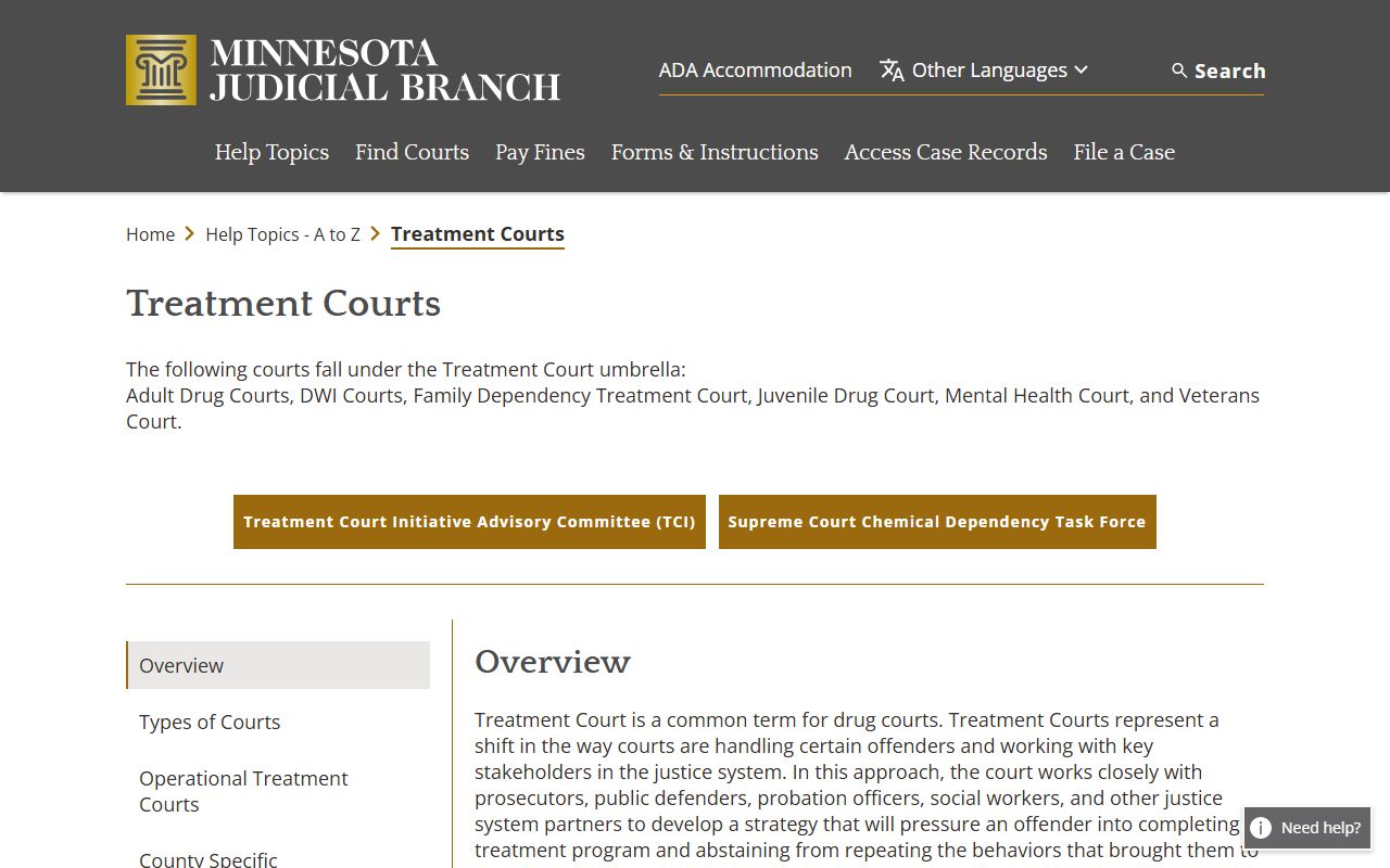 Clay County court dockets Minnesota treatment courts overview